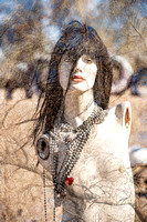 Desert Photo Composites